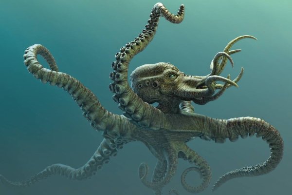 Kraken телеграмм kr2web in