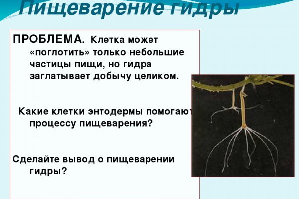 Кракен что там продают