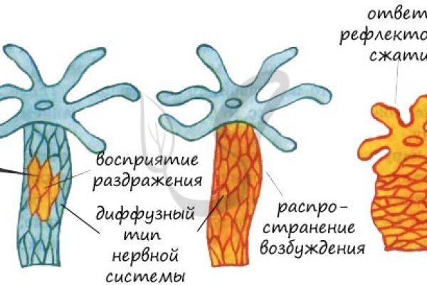 Как открыть ссылку с кракена